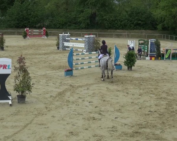 Reitturnier Ladenburg 2019
