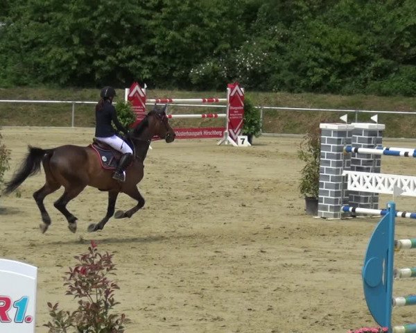 Reitturnier Ladenburg 2019
