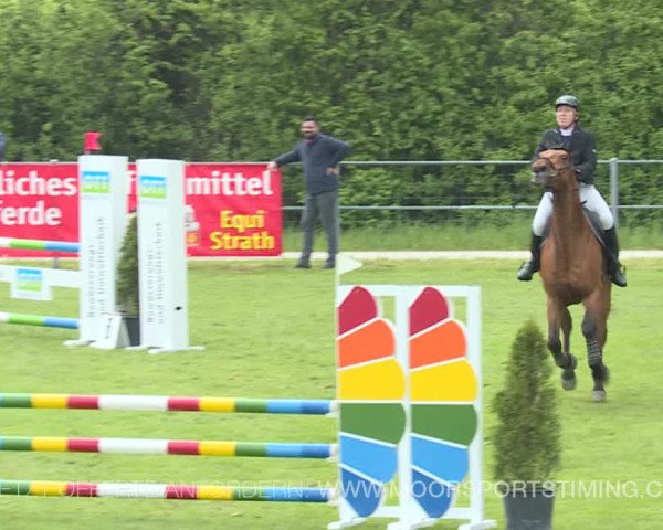 Reitturnier Elgg 2019