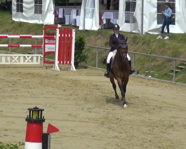 Reitturnier Ladenburg 2019