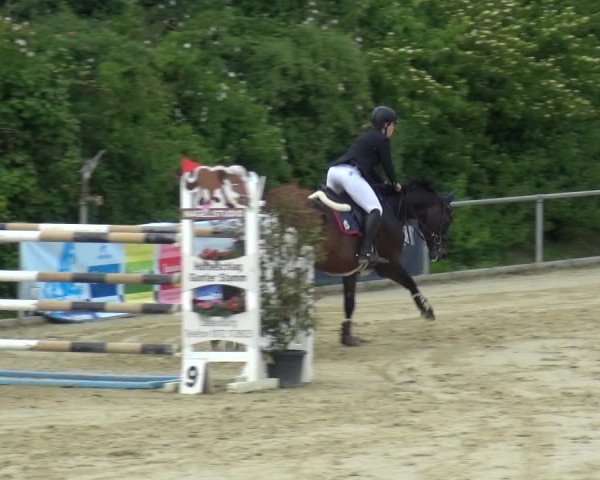 Reitturnier Ladenburg 2019