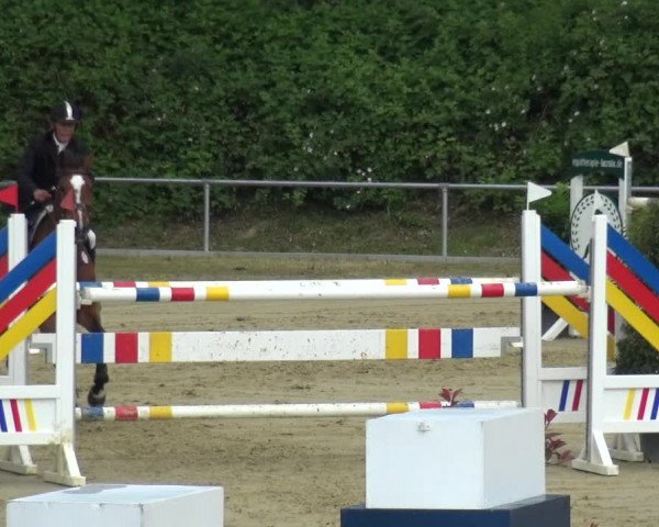 Reitturnier Ladenburg 2019