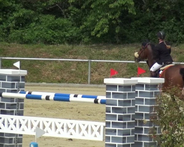 Reitturnier Ladenburg 2019