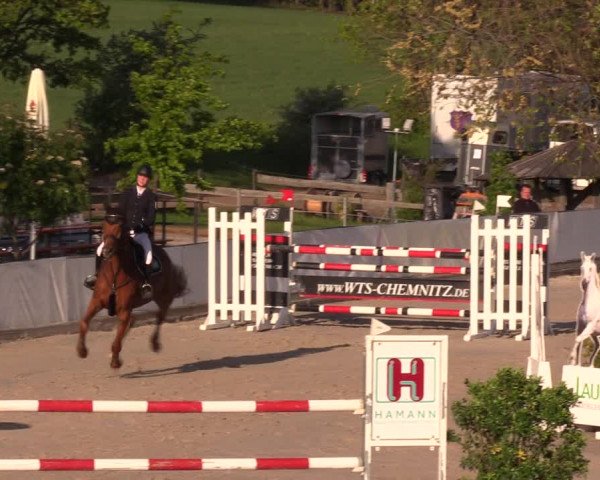 Reitturnier Oberfrauendorf 2019