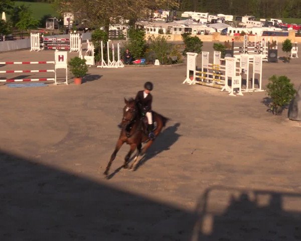Reitturnier Oberfrauendorf 2019