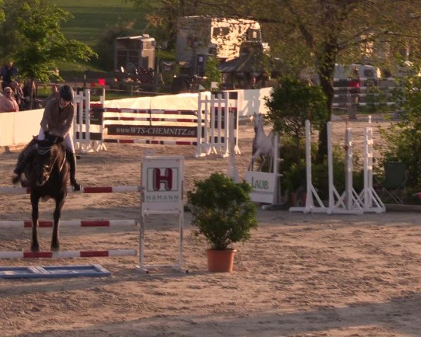 Reitturnier Oberfrauendorf 2019