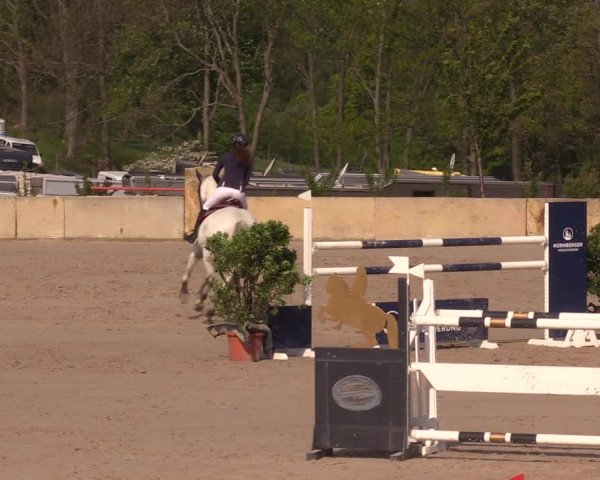 Reitturnier Oberfrauendorf 2019