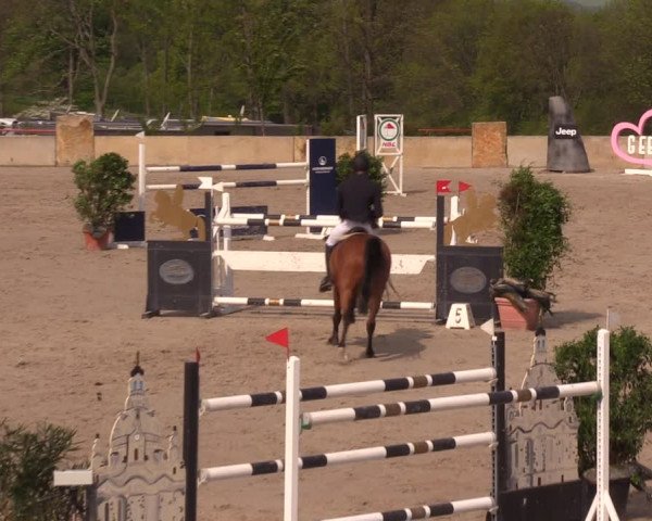 Reitturnier Oberfrauendorf 2019