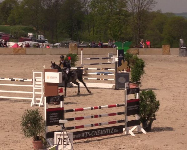Reitturnier Oberfrauendorf 2019