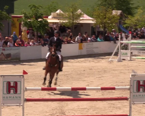Reitturnier Oberfrauendorf 2019