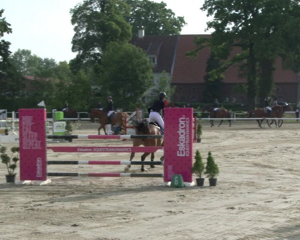 Reitturnier Ostenfelde-Vornholz 2019
