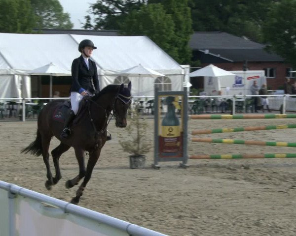 Reitturnier Ostenfelde-Vornholz 2019