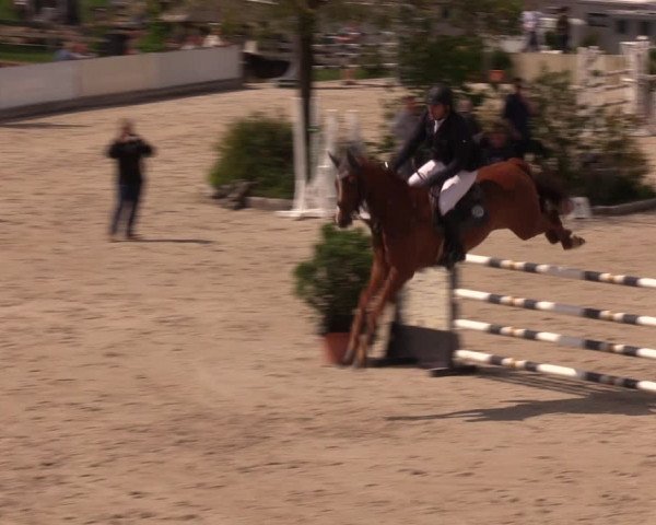 Reitturnier Oberfrauendorf 2019