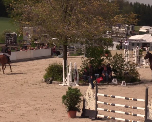 Reitturnier Oberfrauendorf 2019