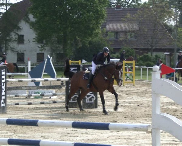 Reitturnier Ostenfelde-Vornholz 2019