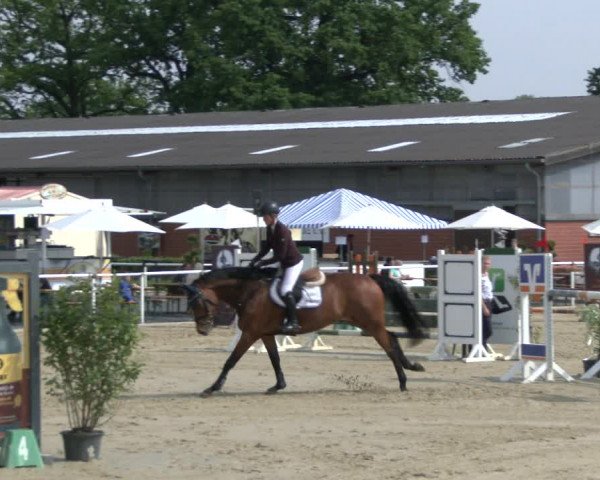 Reitturnier Ostenfelde-Vornholz 2019