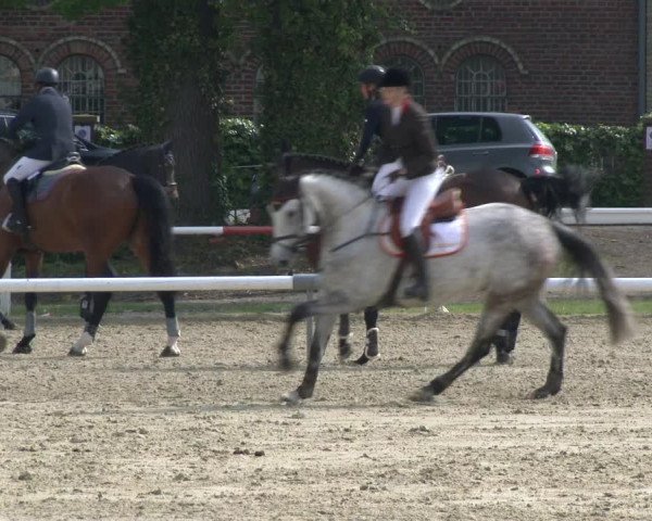 Reitturnier Ostenfelde-Vornholz 2019