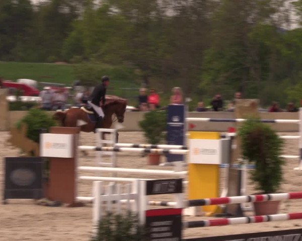 Reitturnier Oberfrauendorf 2019