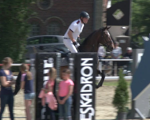 Reitturnier Ostenfelde-Vornholz 2019