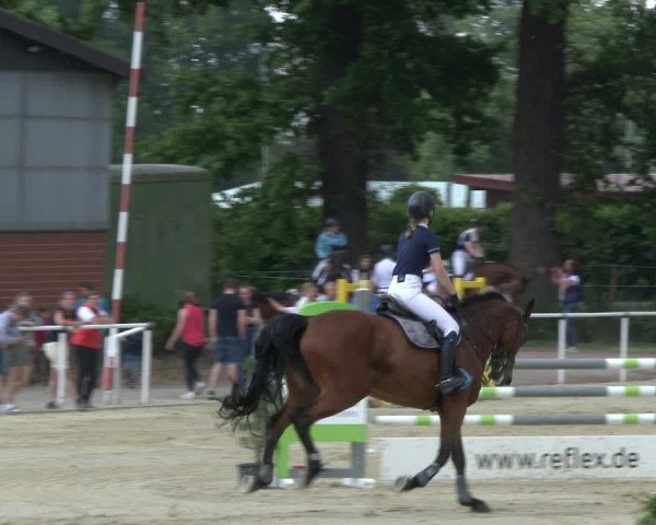 Reitturnier Ostenfelde-Vornholz 2019