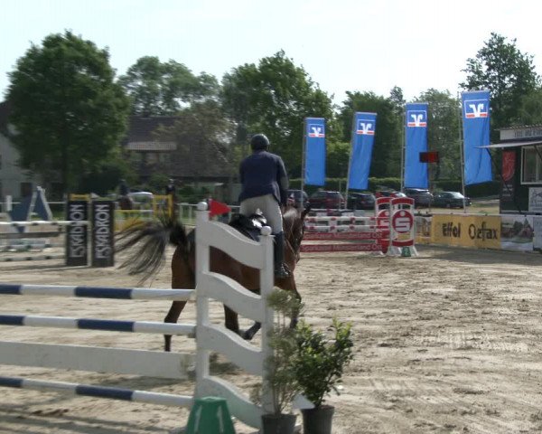 Reitturnier Ostenfelde-Vornholz 2019