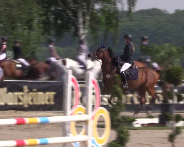 Reitturnier Dortmund-Asseln 2019