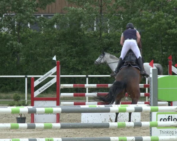 Reitturnier Ostenfelde-Vornholz 2019