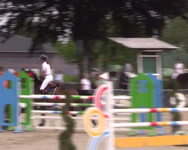 Reitturnier Dortmund-Asseln 2019