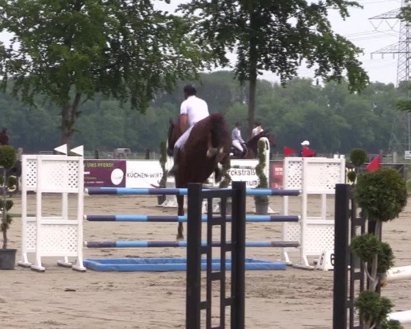 Reitturnier Dortmund-Asseln 2019