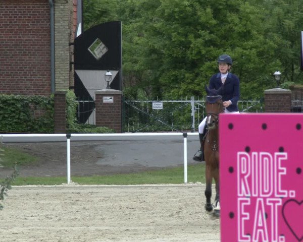 Reitturnier Ostenfelde-Vornholz 2019
