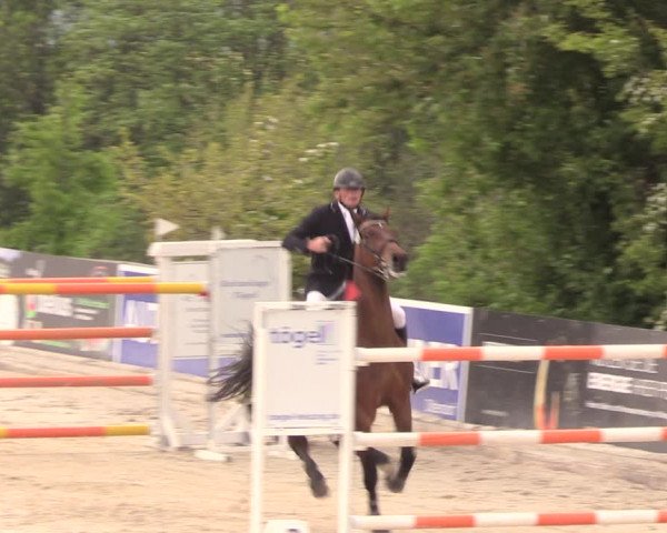 Reitturnier Oberfrauendorf 2019