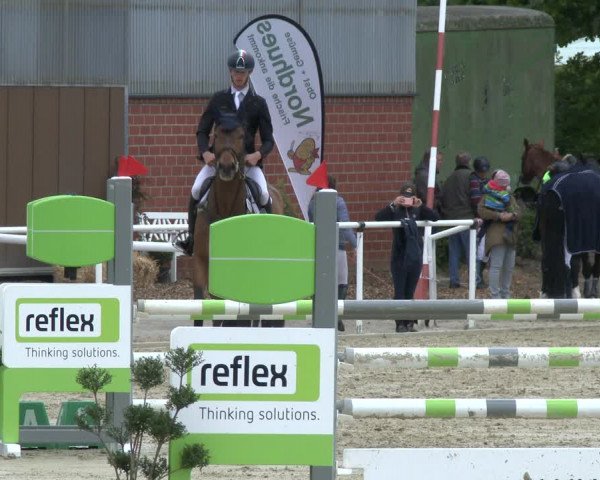 Reitturnier Ostenfelde-Vornholz 2019