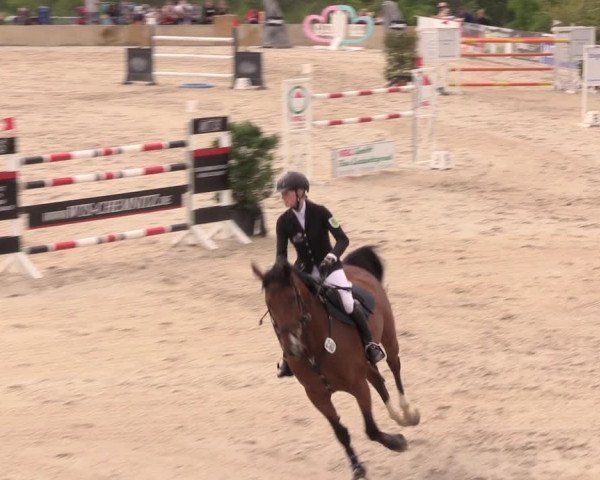 Reitturnier Oberfrauendorf 2019