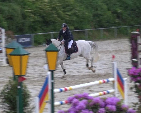Reitturnier Ladenburg 2019