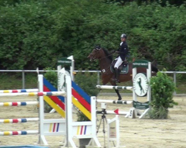 Reitturnier Ladenburg 2019