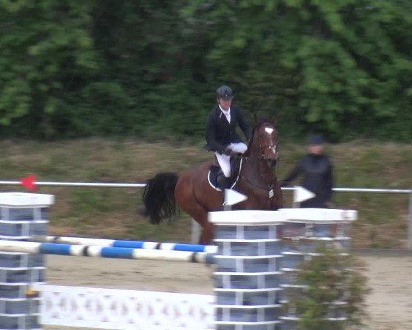 Reitturnier Ladenburg 2019