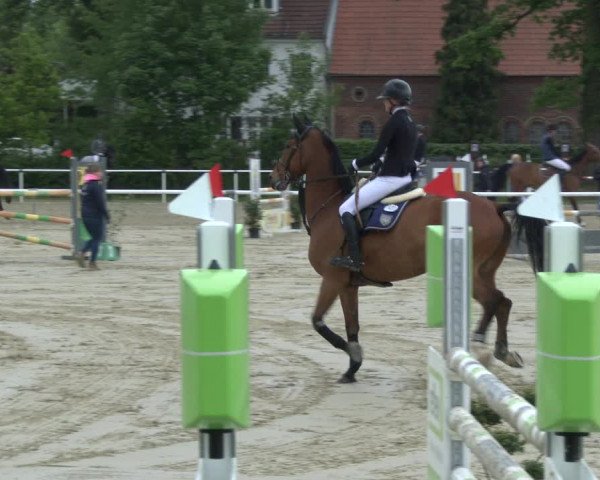 Reitturnier Ostenfelde-Vornholz 2019