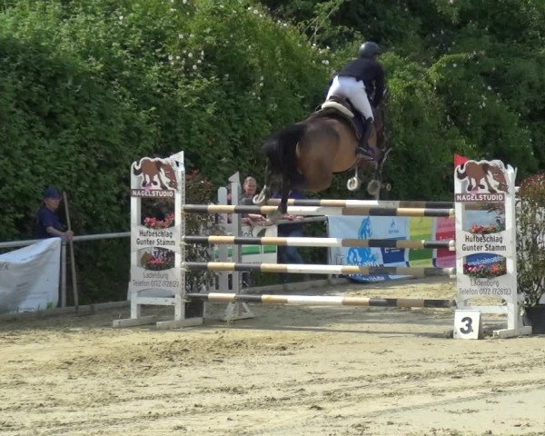 Reitturnier Ladenburg 2019