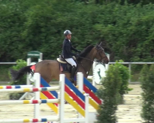 Reitturnier Ladenburg 2019