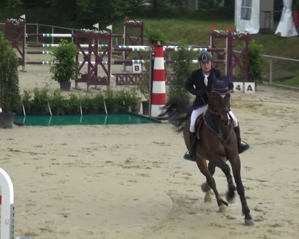 Reitturnier Ladenburg 2019