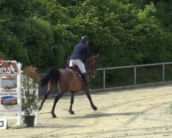 Reitturnier Ladenburg 2019