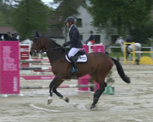 Reitturnier Ostenfelde-Vornholz 2019