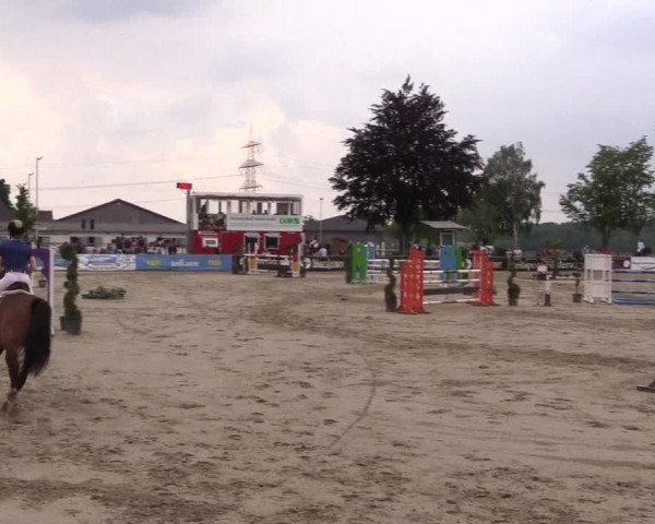 Reitturnier Dortmund-Asseln 2019