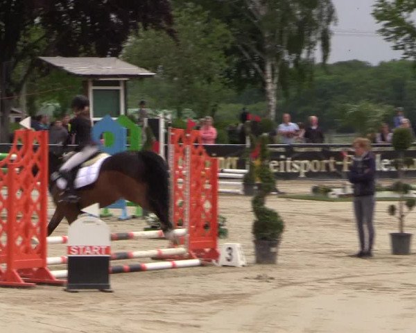 Reitturnier Dortmund-Asseln 2019