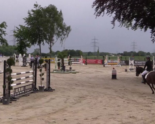 Reitturnier Dortmund-Asseln 2019