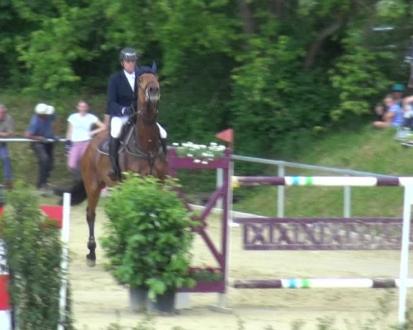 Reitturnier Ladenburg 2019
