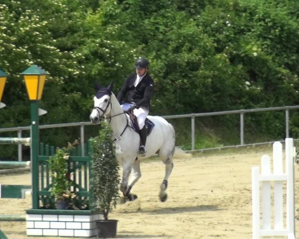 Reitturnier Ladenburg 2019