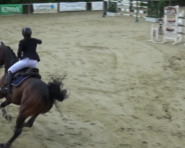 Reitturnier Ladenburg 2019