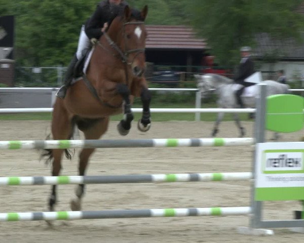 Reitturnier Ostenfelde-Vornholz 2019