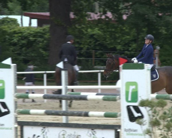 Reitturnier Ostenfelde-Vornholz 2019
